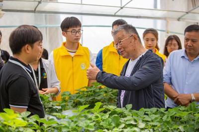 傳承亞夫精神，貢獻青春力量 江蘇農林職業技術學院新禾助農服務團的鄉村振興實踐